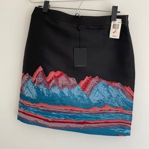 Alexander Wang Poseidon Skirt